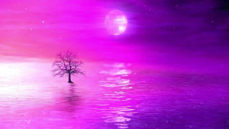 紫色天空海水