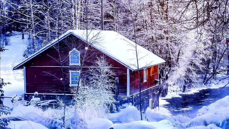 下雪的树林中的房屋