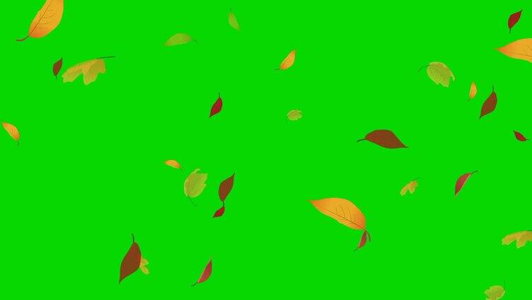 树叶落下绿幕
