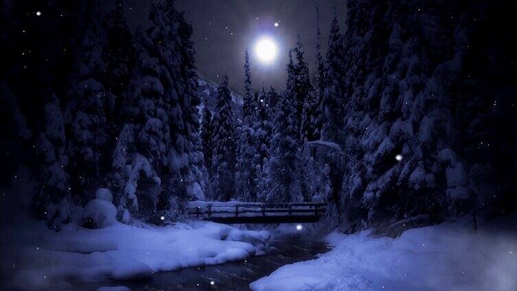 月光下的下雪树林