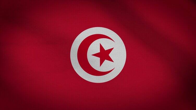 突尼斯国旗飘动视频