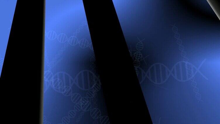 模拟DNA链旋转
