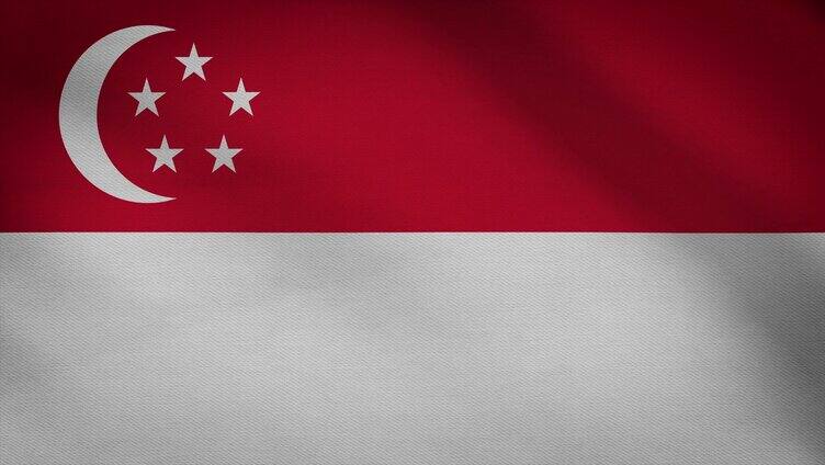 新加坡共和国国旗飘动视频