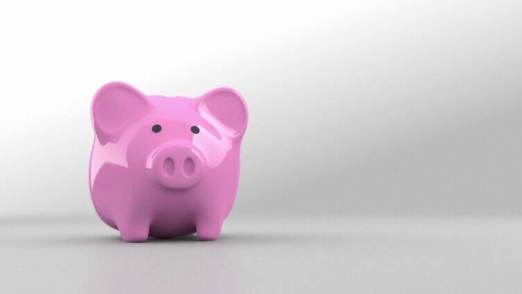 猪猪存钱罐视频