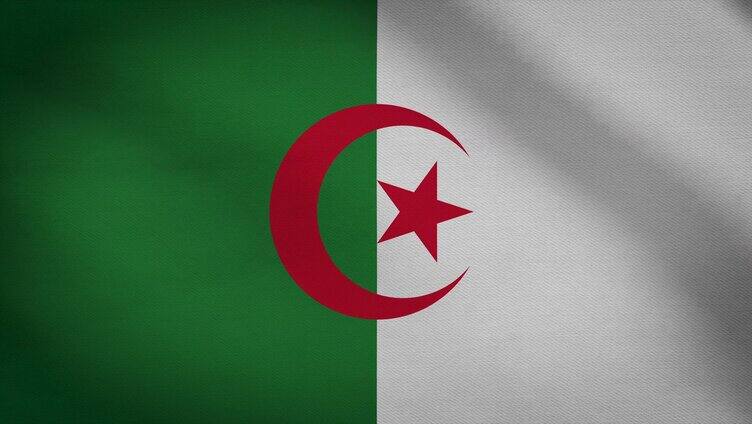 阿尔及利亚国旗飘动视频