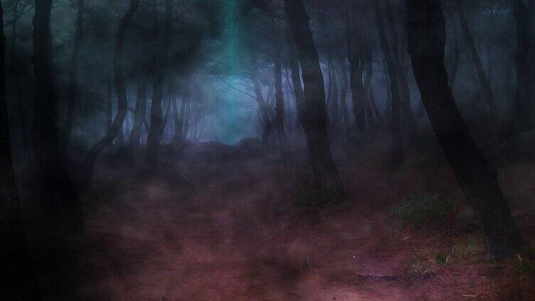 恐怖黑暗森林