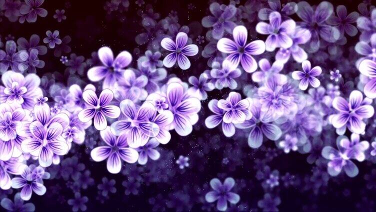 紫色樱花飘舞奇幻视频
