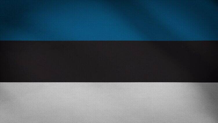 爱沙尼亚旗帜