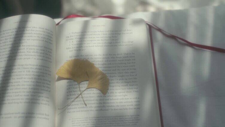 阳光照在树上，女孩看书美好生活意境唯美