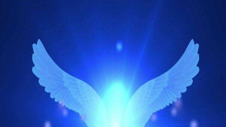 天使的翅膀LED背景