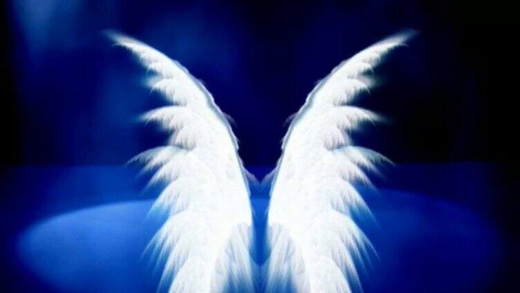天使羽毛翅膀LED背景