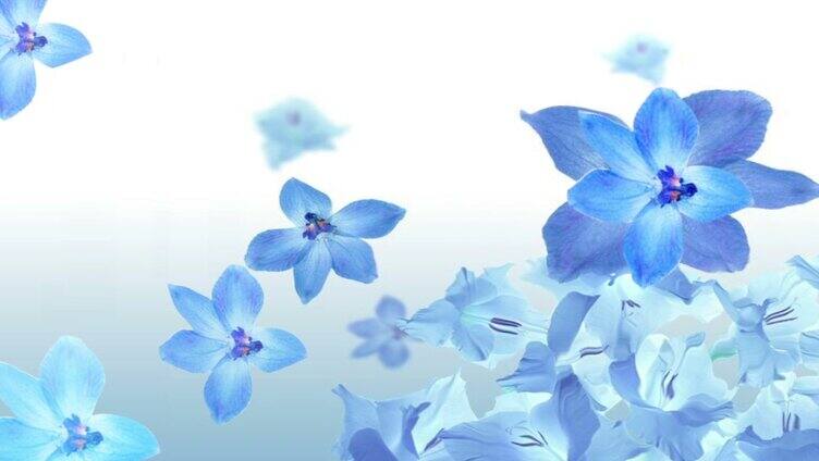 原创蓝色花朵风景类LED背景