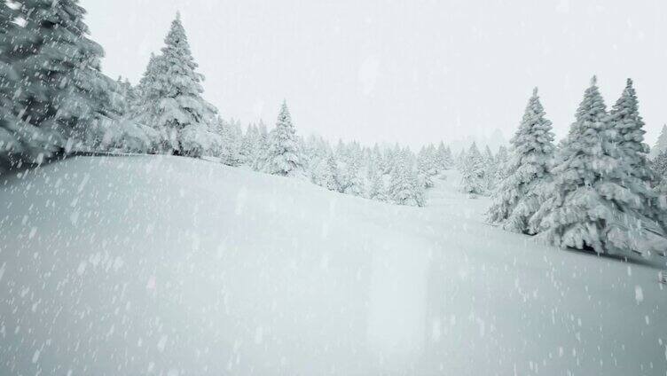 下雪的圣诞树森林