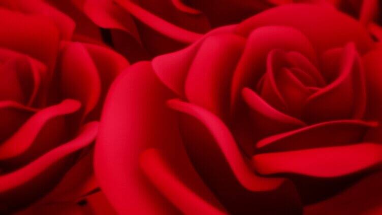红玫瑰玫瑰花平移唯美婚礼背景 