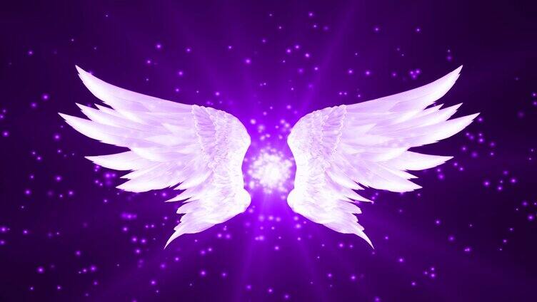 紫色唯美翅膀LED背景