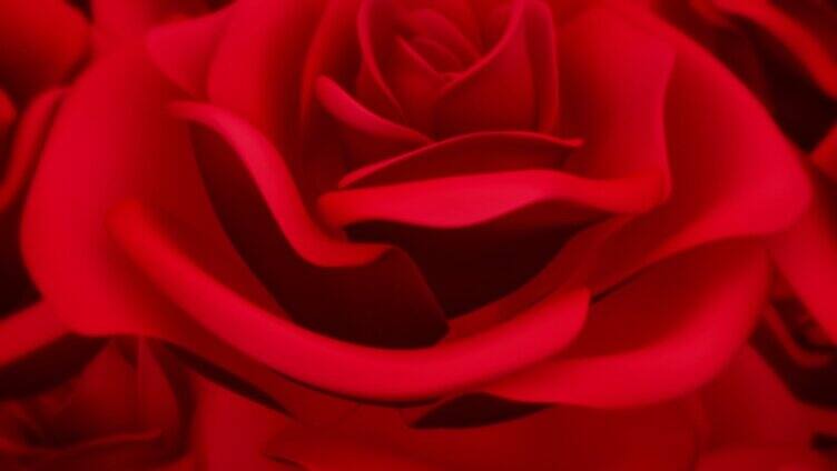 红玫瑰玫瑰花浪漫唯美婚礼背景 