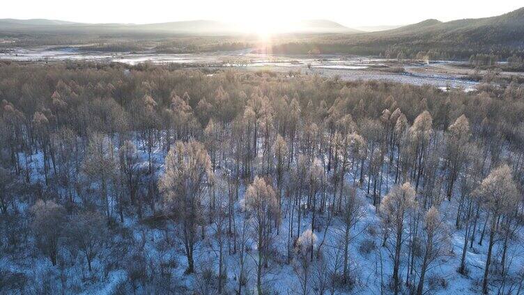 雪原阳光树林唯美雾凇