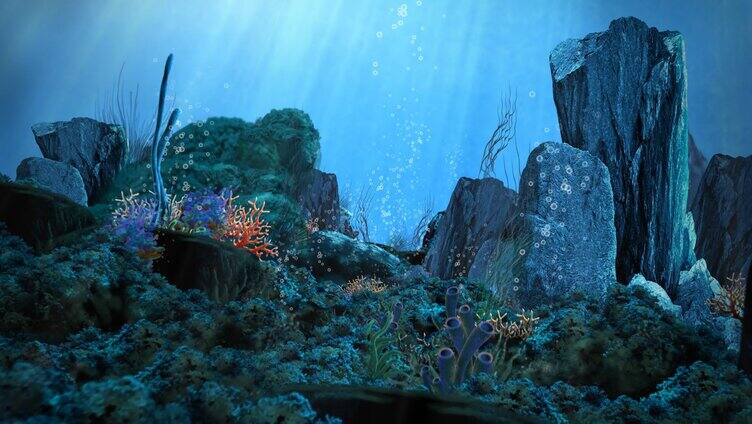 深海海底珊瑚巨石