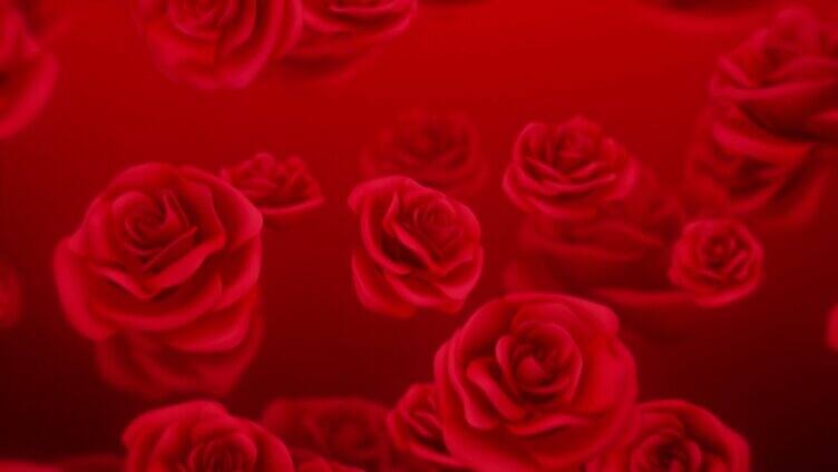 红玫瑰玫瑰花下落唯美婚礼背景 