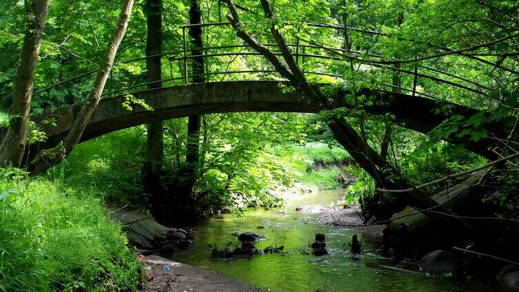 林中小桥流水