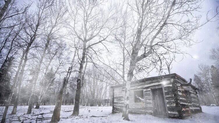 雪景雪花飘落