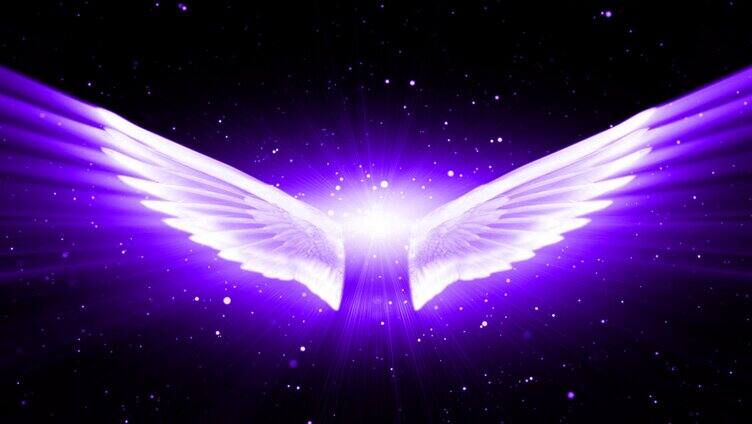 紫色翅膀婚礼LED背景