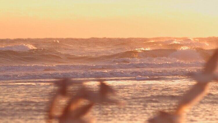 夕阳下海浪冲击沙滩