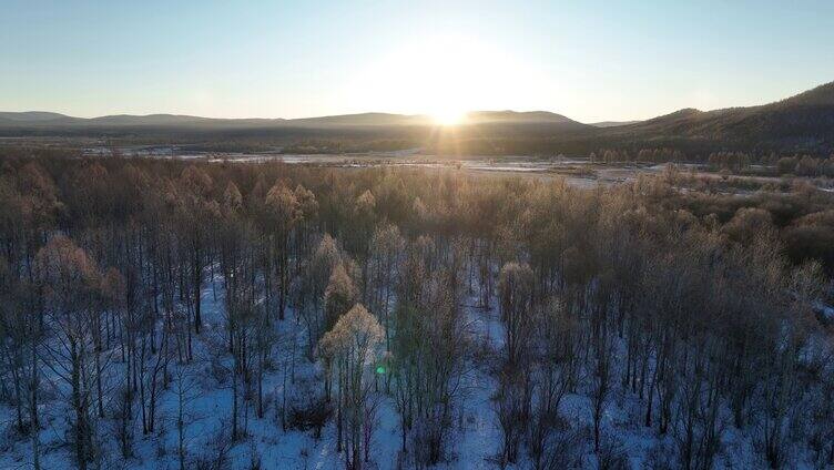 雪原阳光树林唯美雾凇