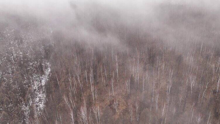 大兴安岭冷春山林残雪云雾