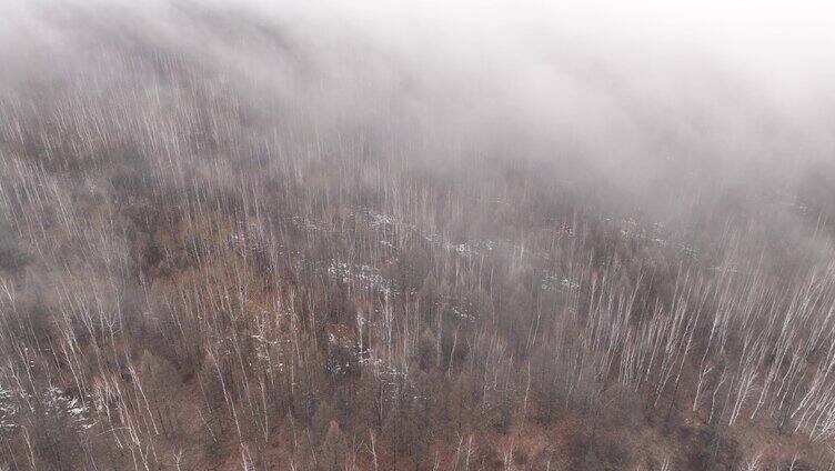 大兴安岭冷春山林残雪云雾