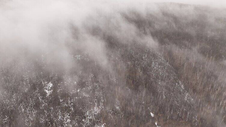 大兴安岭冷春山林残雪云雾