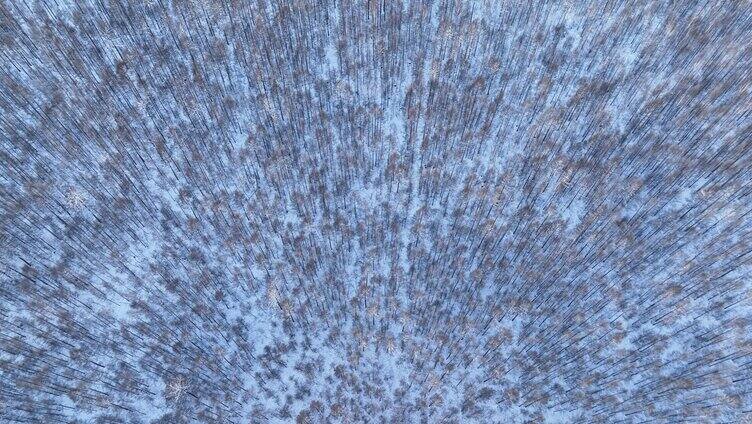 无人机鸟瞰林海雪原雪林