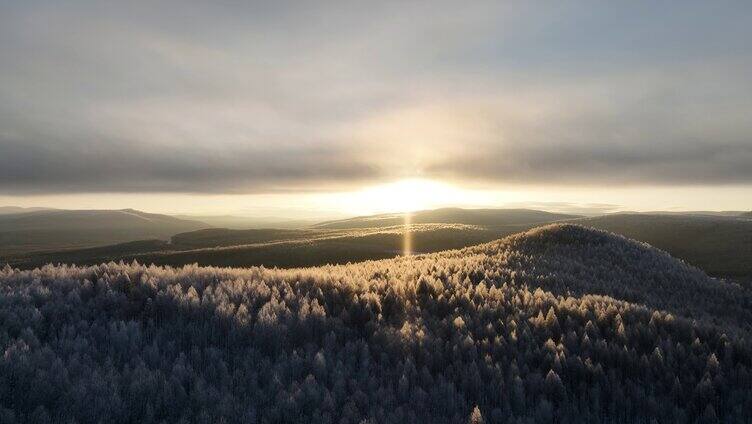 阳光照耀的大兴安岭雪色山林