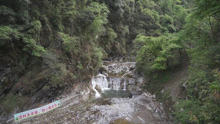 螺髻山 森林