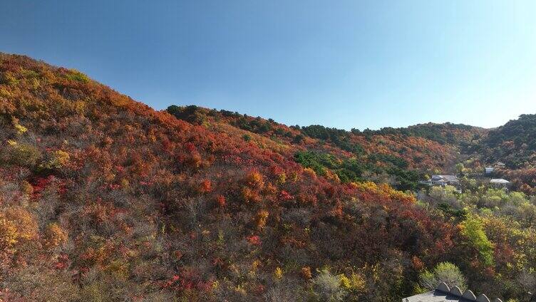 航拍秋天色彩斑斓的辽宁大山