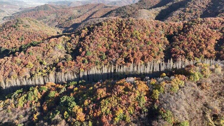航拍秋天色彩斑斓的辽宁大山