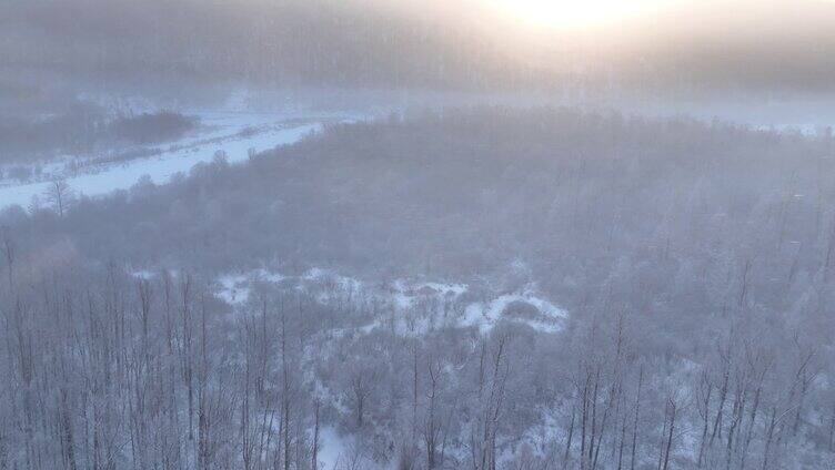 曙光照耀冻雾迷漫的林海雪原