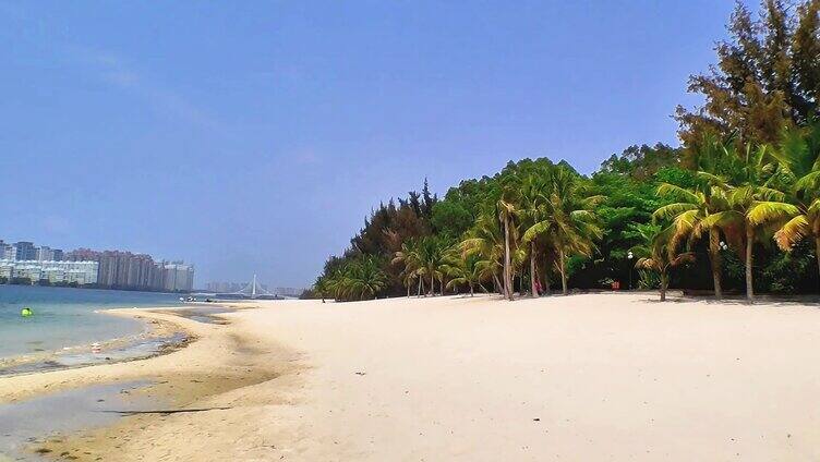 高清海南沙滩椰子树视频