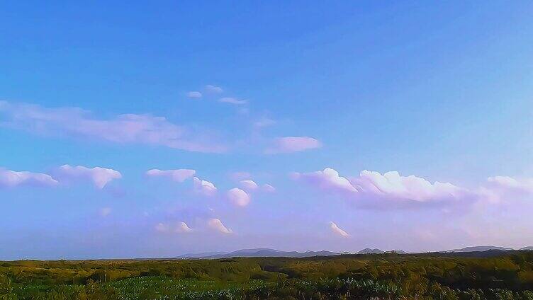 4k高清海南橡胶林上的蓝天白云延时视频