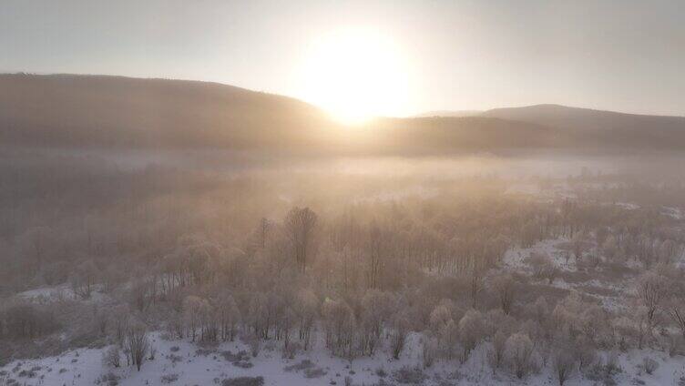 曙光照耀冻雾迷漫的林海雪原