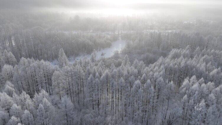 曙光照耀冻雾迷漫的林海雪原