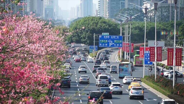 城市车流 城市交通