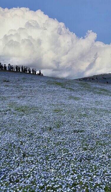 治愈系风景素材