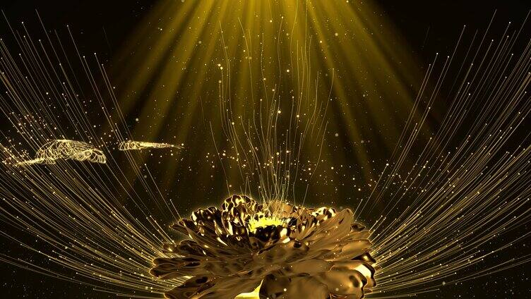 金色光亮粒子上升花朵蝴蝶
