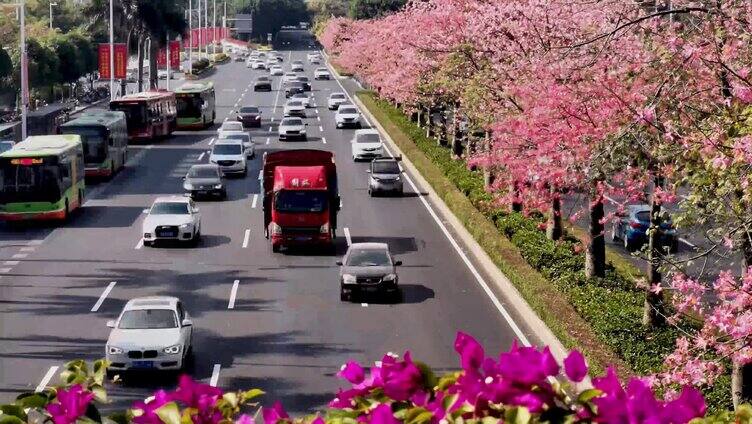 民族大道车流延时