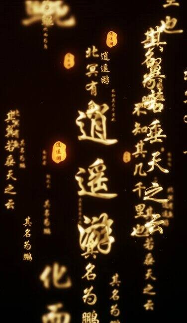 逍遥游金色字体鎏金标题漂浮冲屏字幕