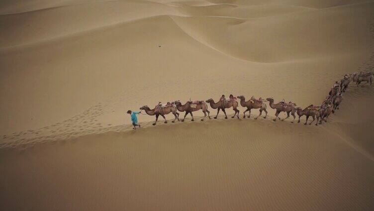 航拍沙漠骆驼队伍素材