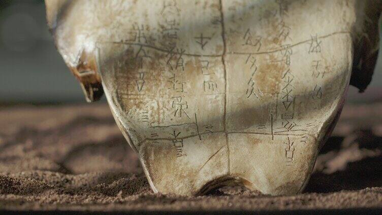 甲骨文历史考古古代文明「组镜」