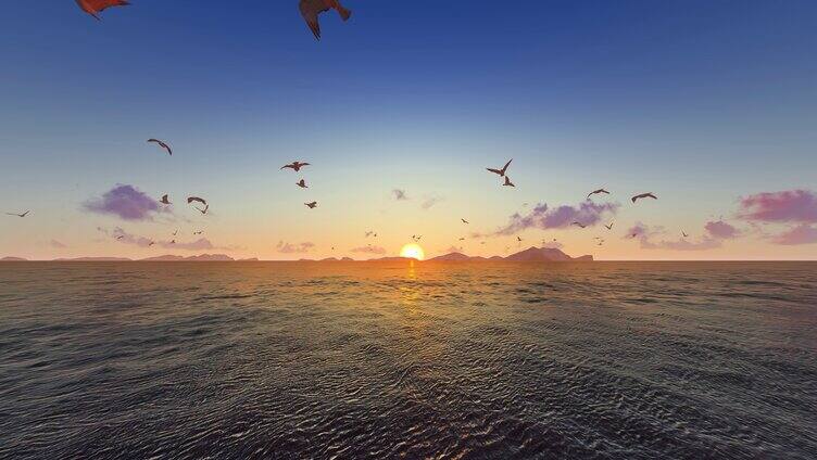 海面上成群结队自由飞翔的海鸥