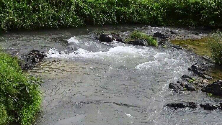 山涧溪流小河流水野外视频实拍